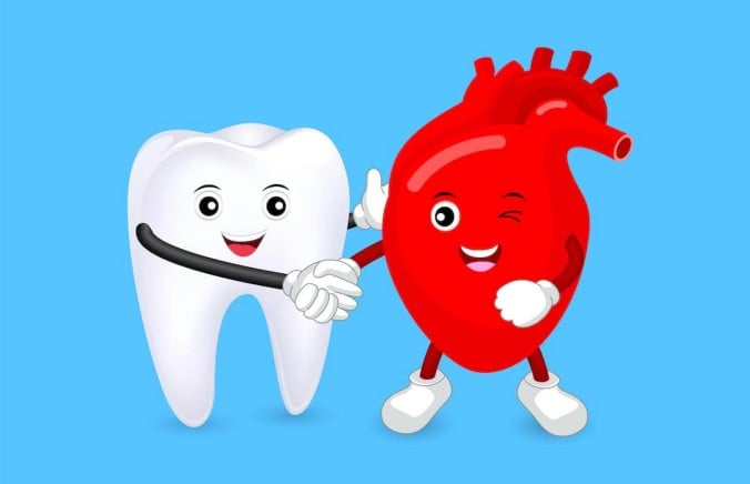 Are Your Gums Affecting Your Heart? The Often-Overlooked Connection Between Oral and Cardiac Health