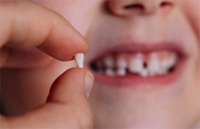 The cycle and sequence of tooth replacement in children.